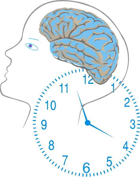Zeit und Gehirn